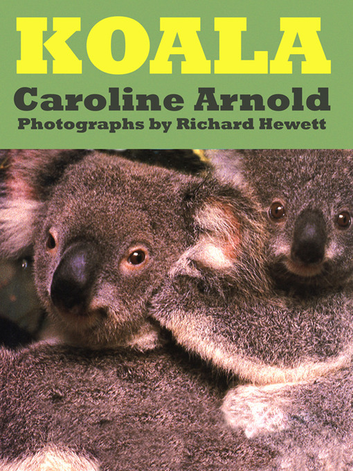 Title details for Koala by Caroline Arnold - Available